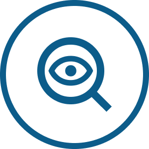 Vision Icon